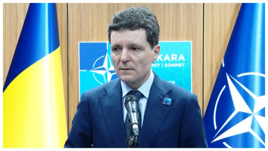 nicusor dan NATO 1