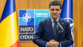 nato nicusor dan 2