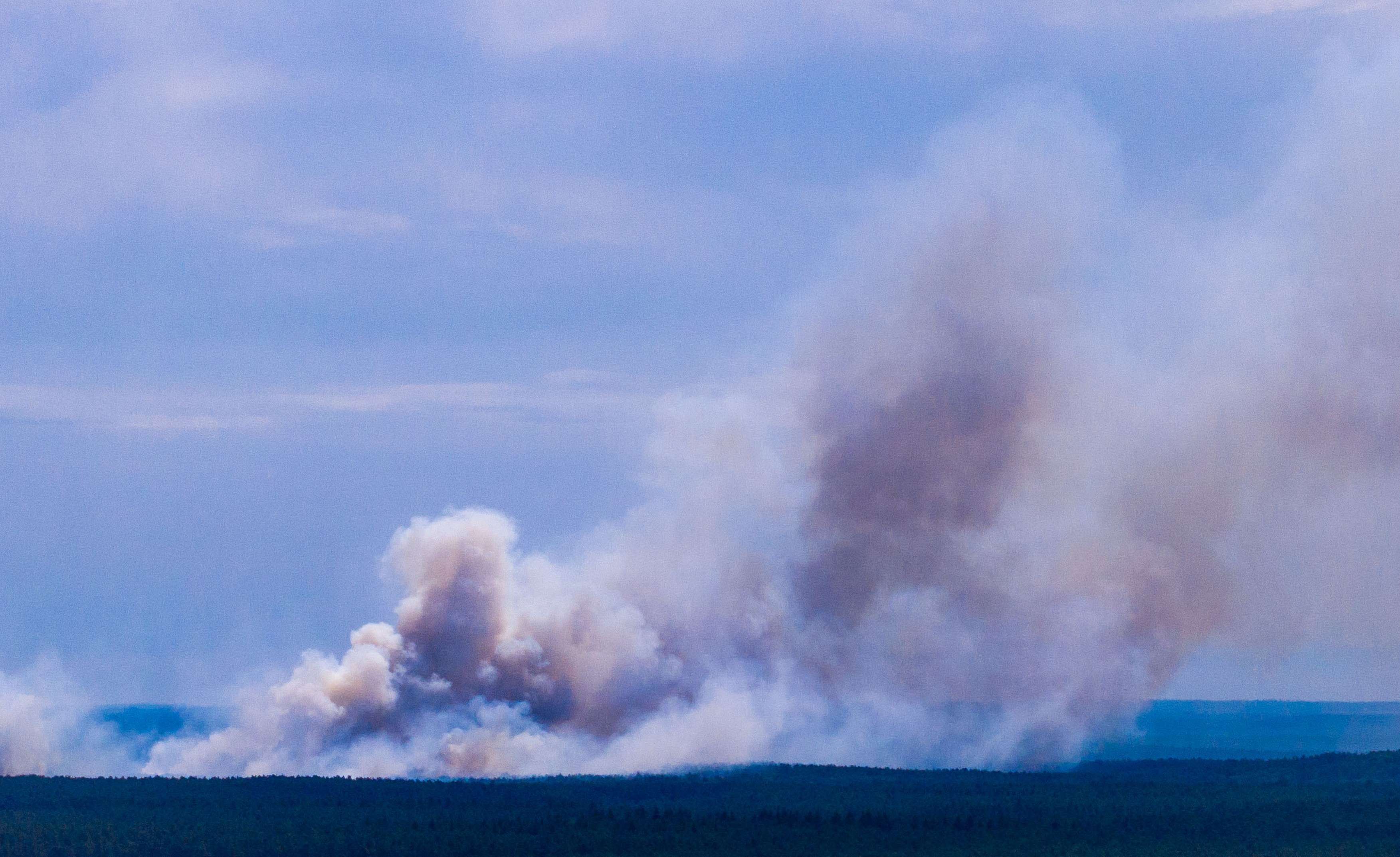 Canicula lovește Germania: incendiu uriaș într-un parc național, restricții pe Rin și limitări la consumul de apă