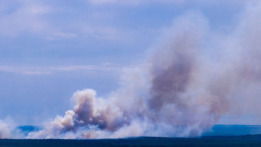 Forest Fire in Müritz National Park