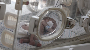 Incubator