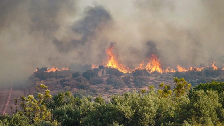 Thorn Fire Near Boulevard In USA, 15 Jul 2026