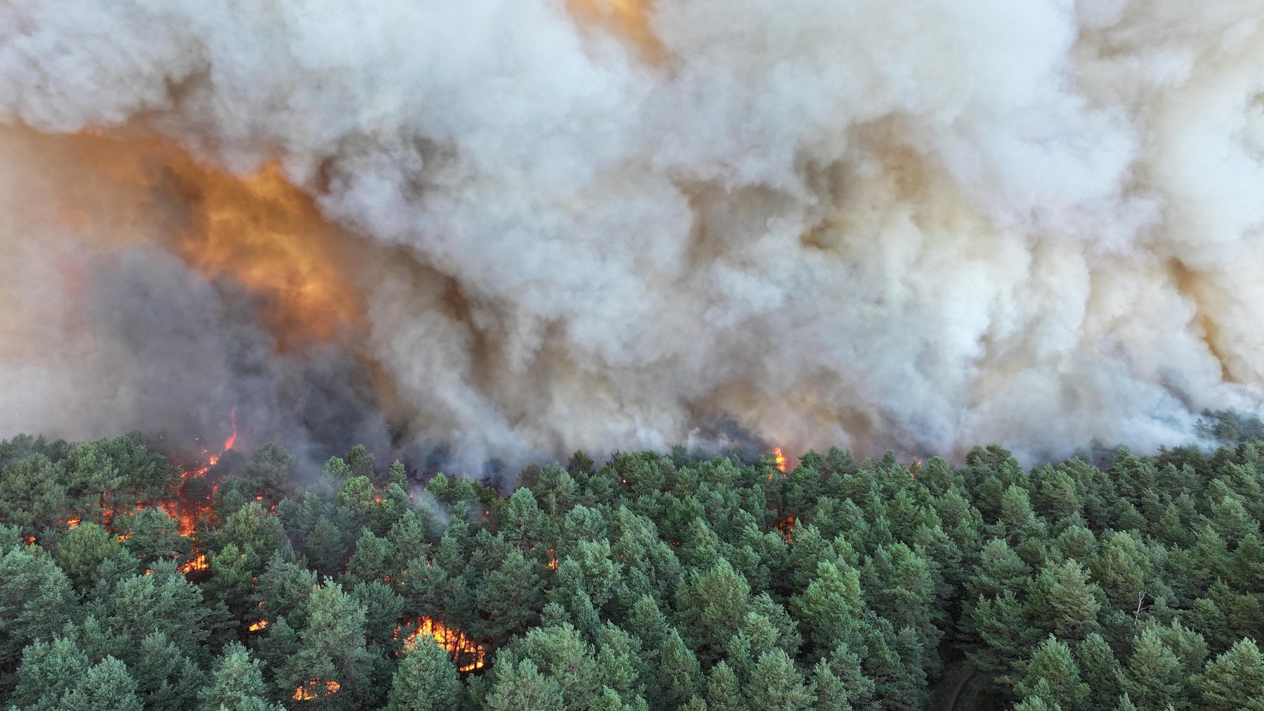 Incendiu de „amploare excepţională” în apropierea Parisului: este bănuită originea „voluntară”. Fontainebleau, „rezervație a biosferei”