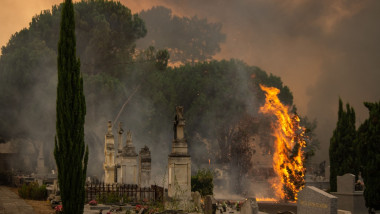 France Evacuates Residents from Cap Ferret as Wildfires Advance, Lege-Cap-Ferret - 23 Jul 2026