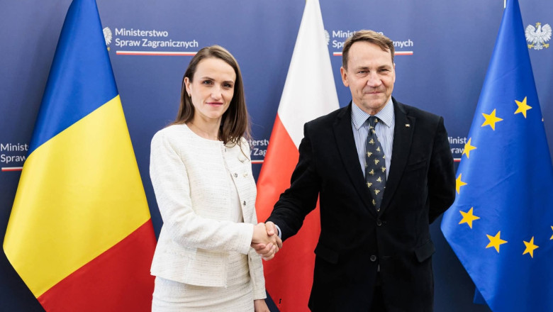 oana toiu da mana cu radek sikorski