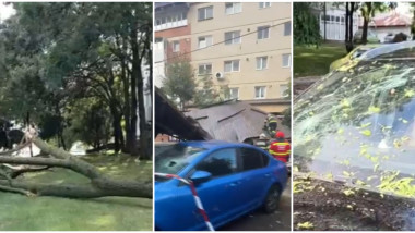 vijelii furtuni copaci cazuti acoperis smuls