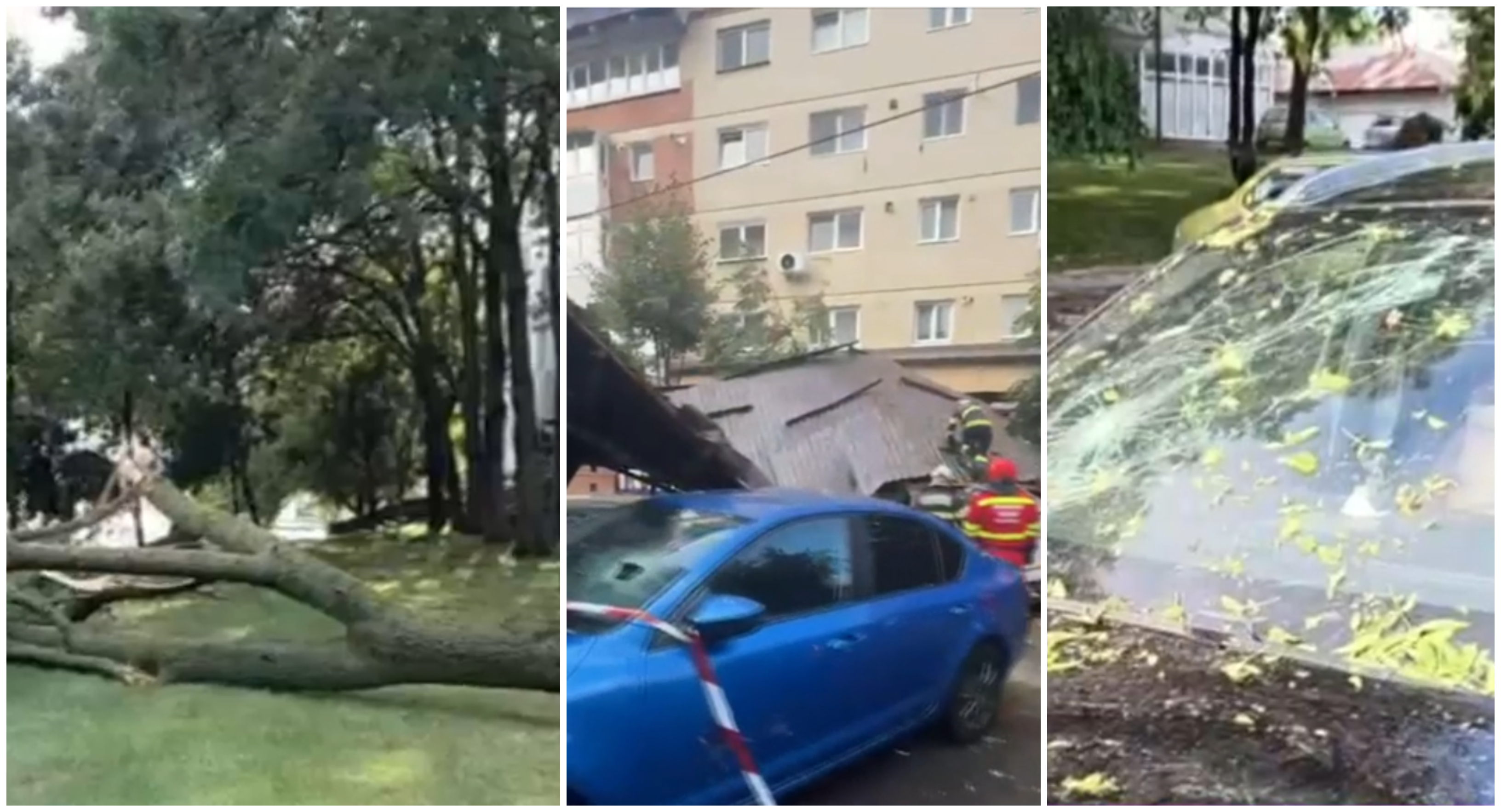 Vijelii puternice în țară: vântul a doborât copaci și crengi iar un acoperiș a căzut peste mașini