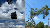 photo-collage.png - 2026-08-01T171031.834