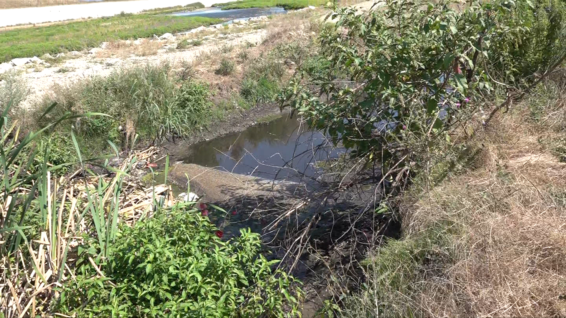 Bombă ecologică la marginea orașului: apele uzate de la o stație de epurare din Târgu Jiu ajung direct în râu. Localnicii cer măsuri
