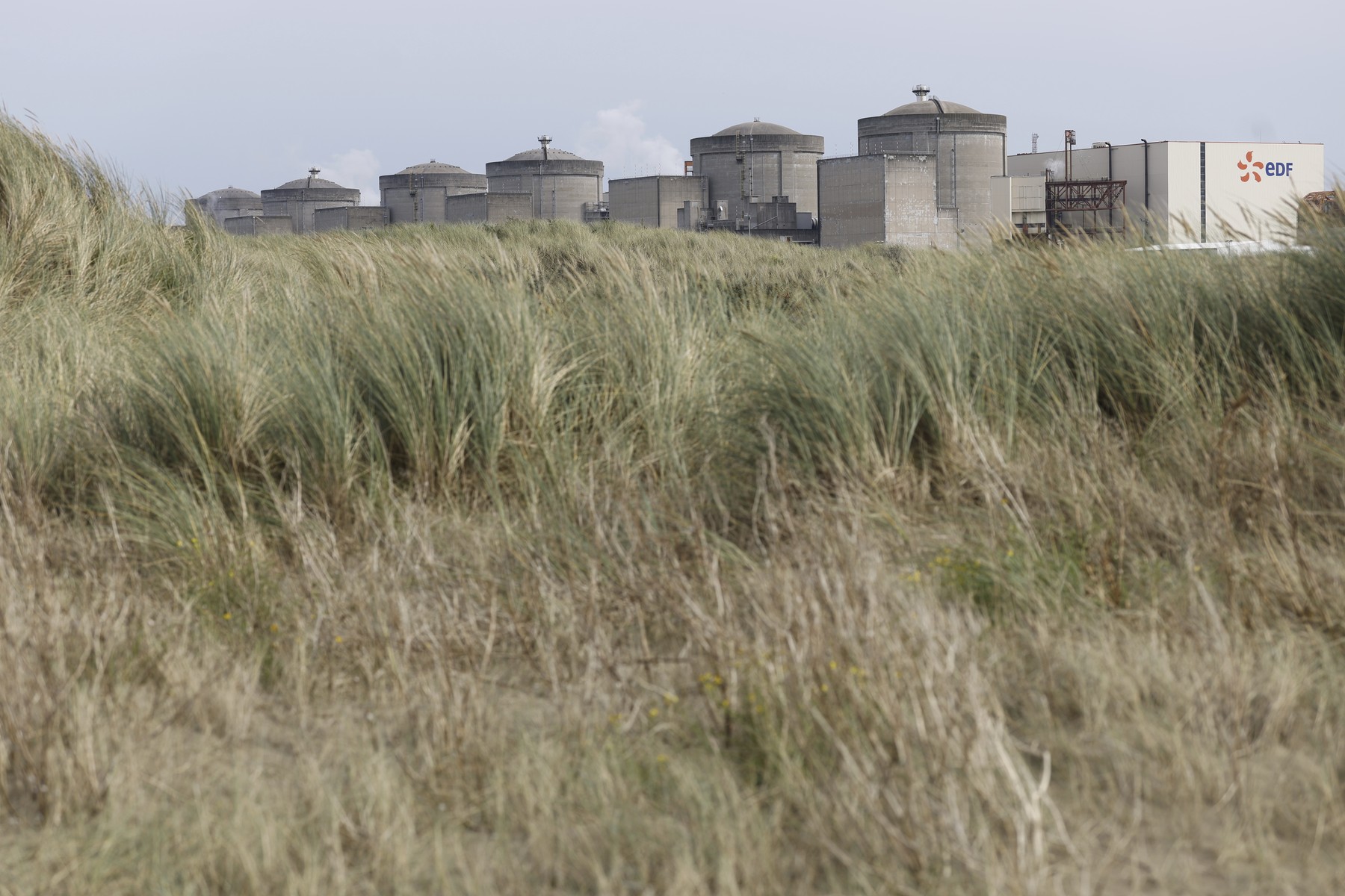 Meduzele au oprit trei reactoare ale unei centrale nucleare franceze. „Ne-am adaptat preventiv evoluției situației”