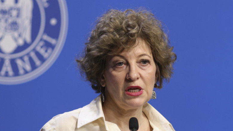 oana ghoerghiu face declaratii la guvern