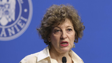oana ghoerghiu face declaratii la guvern