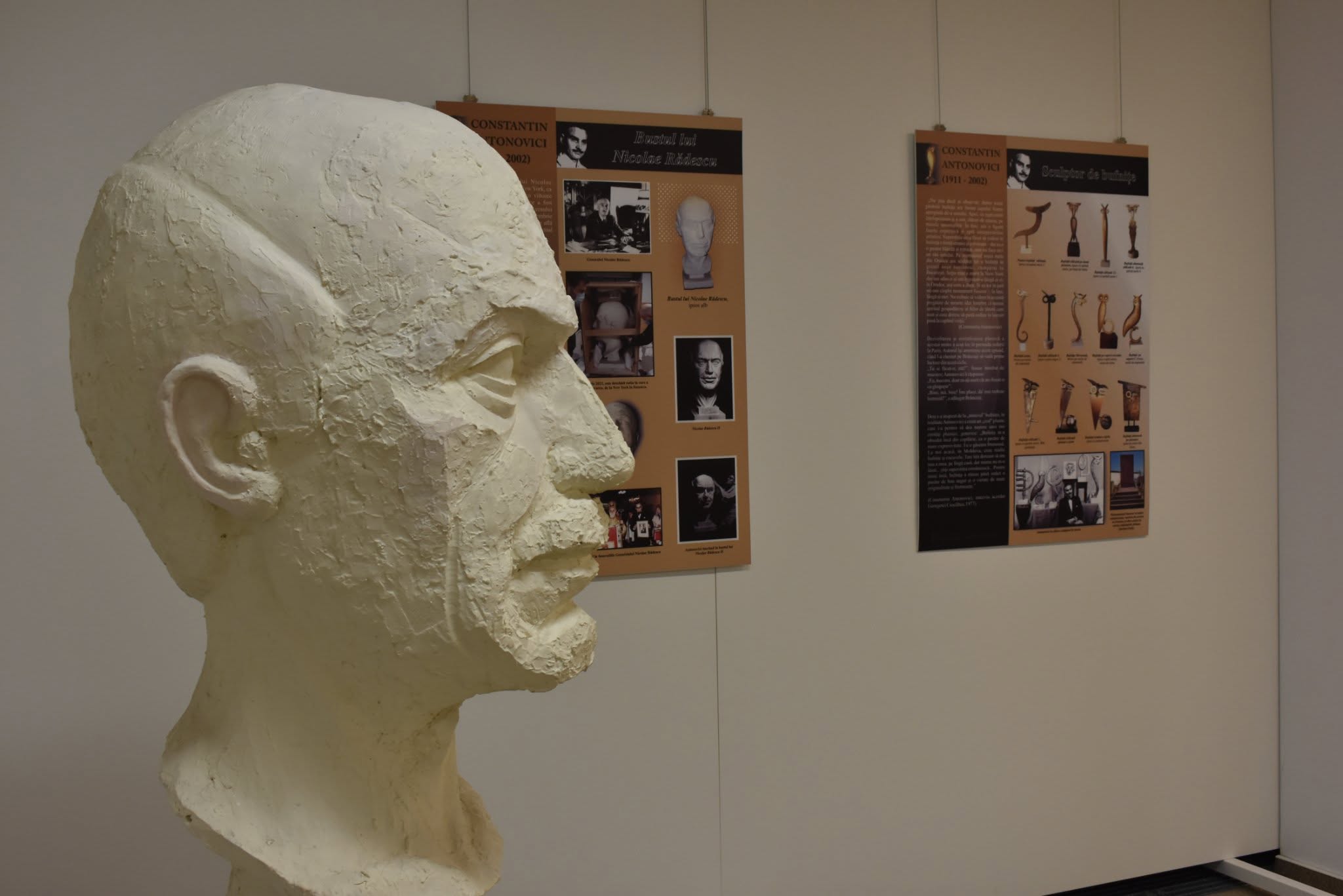 45 de opere ale sculptorului Constantin Antonovici vor intra în patrimoniul statului. Guvernul a aprobat preluarea colecției