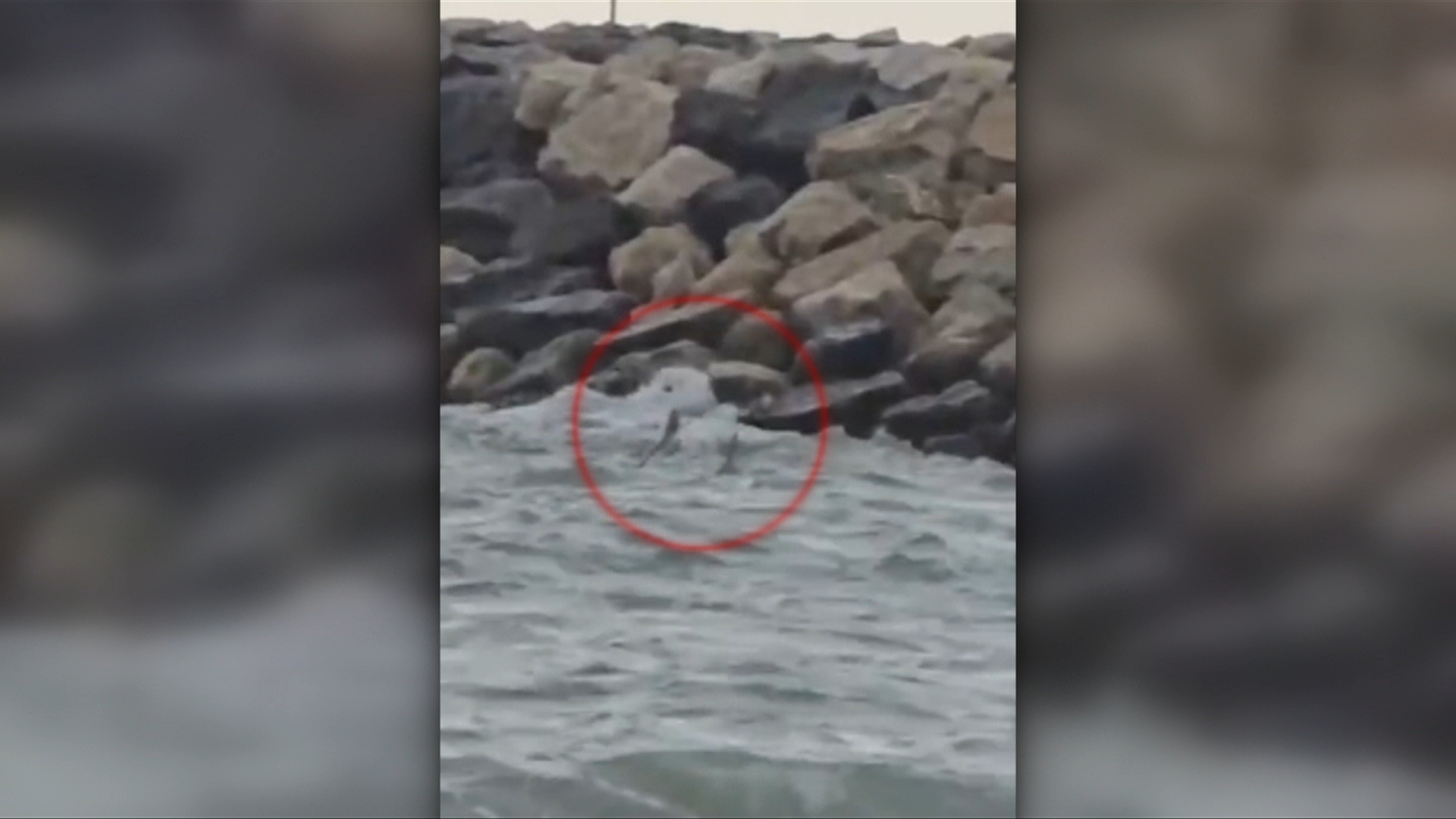 Alertă la Costinești: o dronă de tip Gerbera a fost găsită în mare. Anunțul MApN