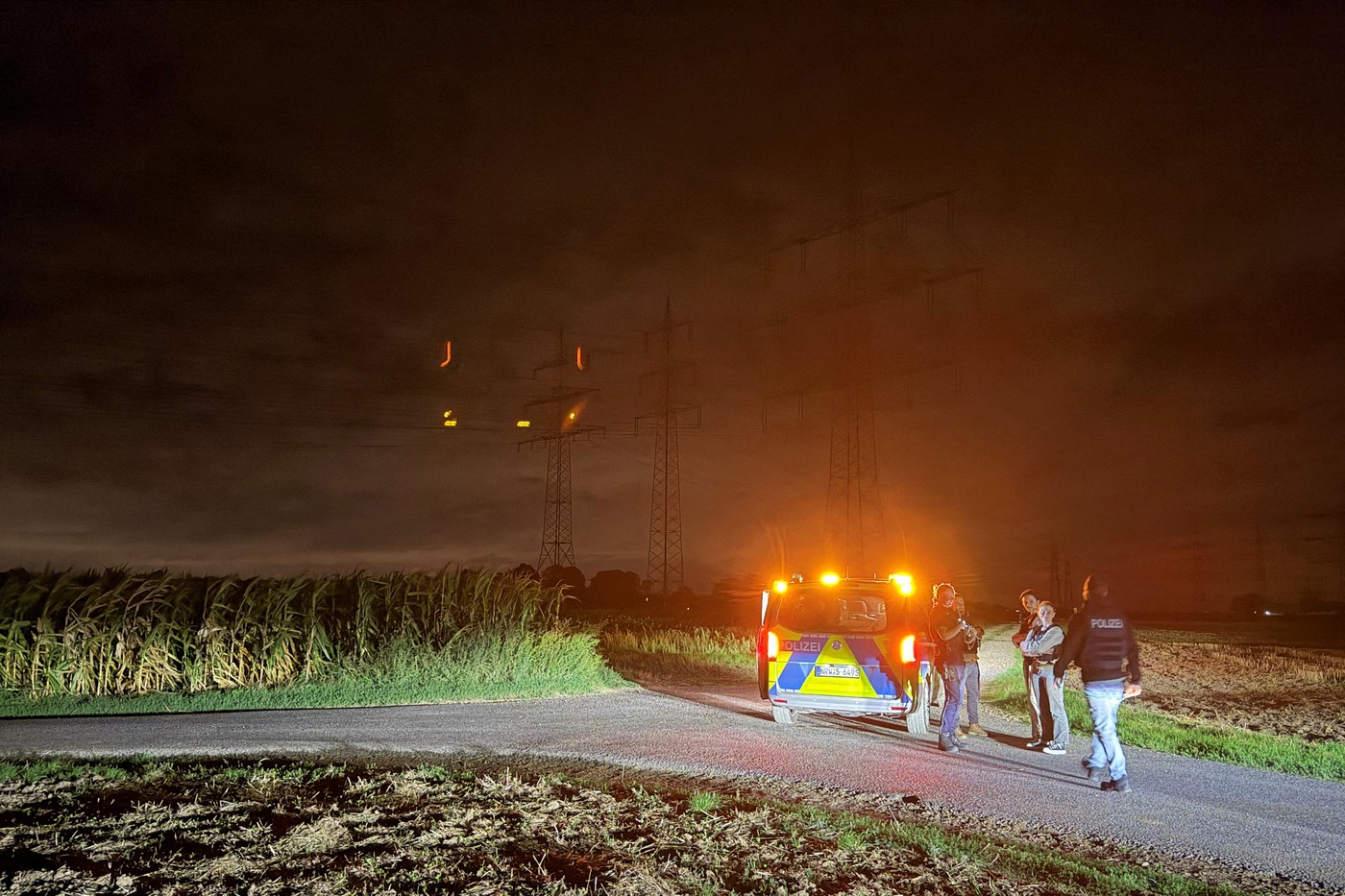 Suspiciune de sabotaj la o stație electrică din Germania. Acțiunea a fost revendicată