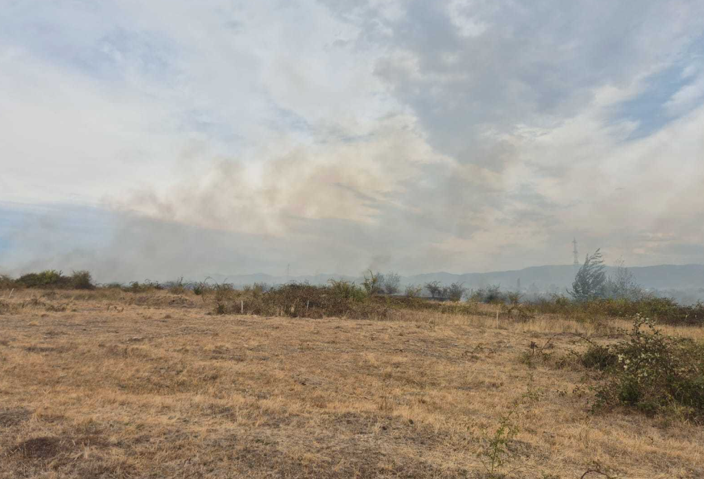 Incendii de pădure în Bihor și Vâlcea. Intervenții dificile din cauza vântului puternic