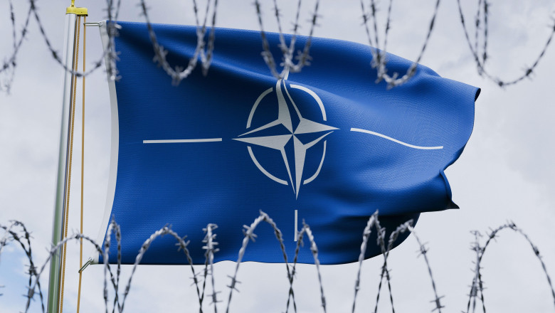 steag NATO sarma ghimbata