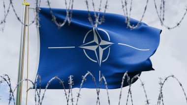 steag NATO sarma ghimbata