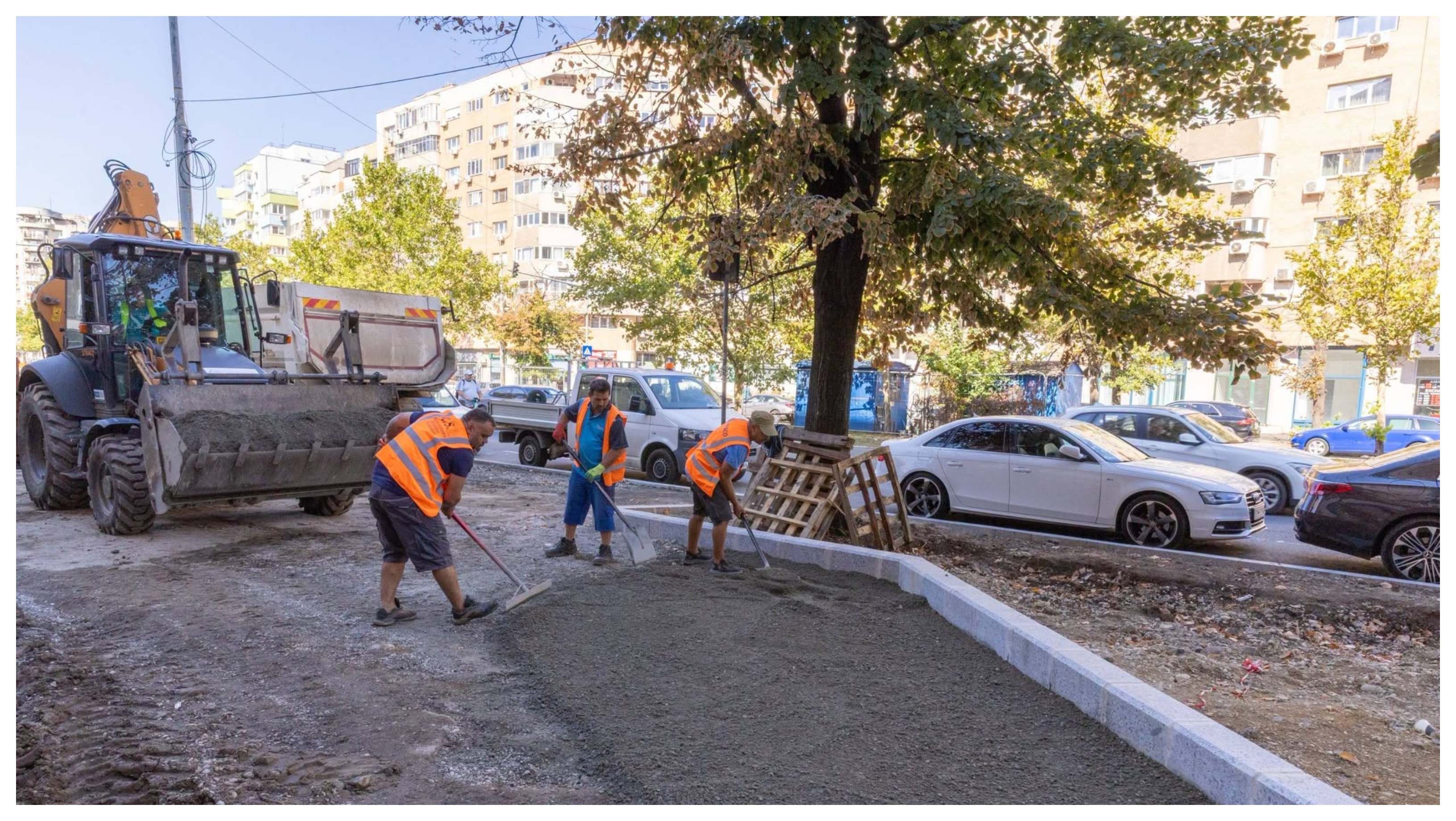 Calea 13 Septembrie se va transforma într-un coridor verde. Primăria Capitalei va planta peste 200.000 de arbori, arbuști și plante