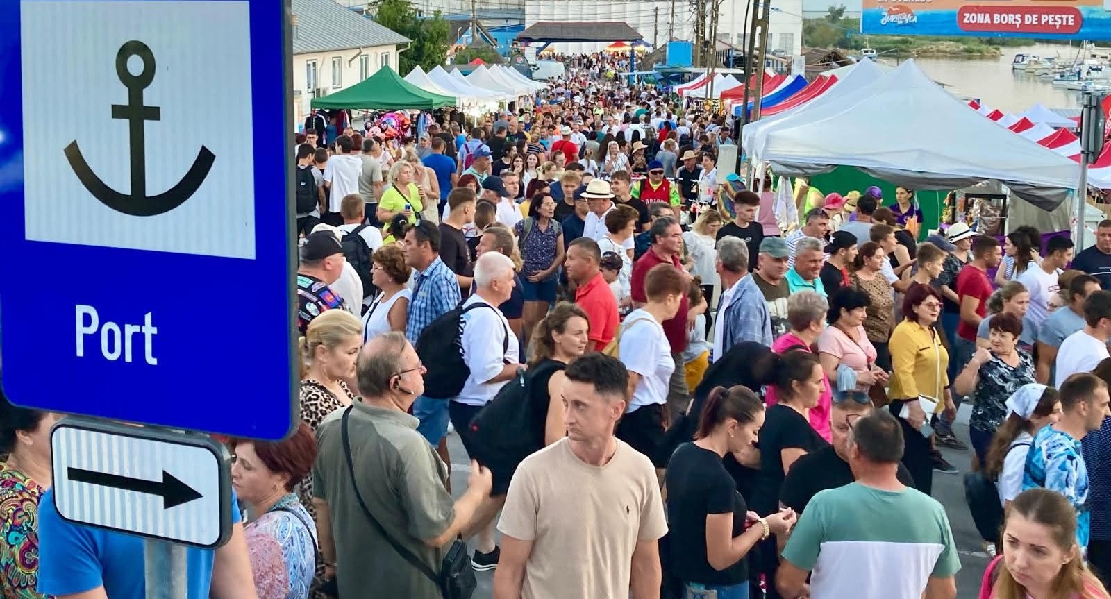 Peste 10 autocare au mers în Deltă la un festival de borș care nu are loc. Cum au fost păcăliți turiștii de inteligența artificială