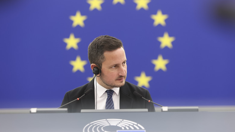 Nicu Ștefănuță, europarlamentar român.