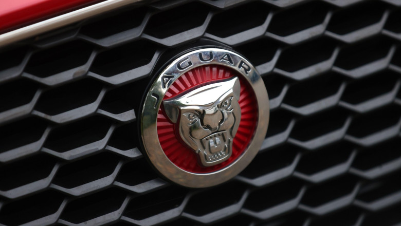 jaguar