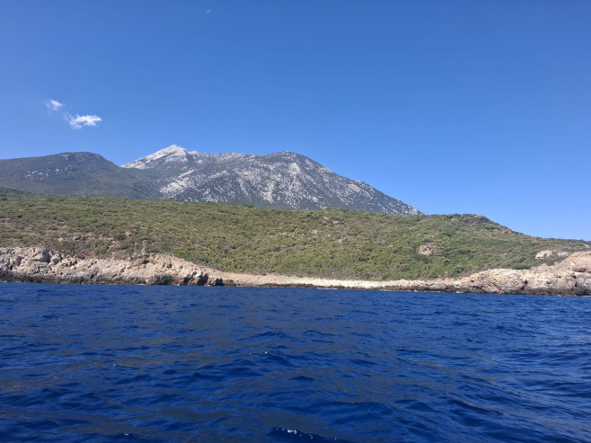 dungaciu5
