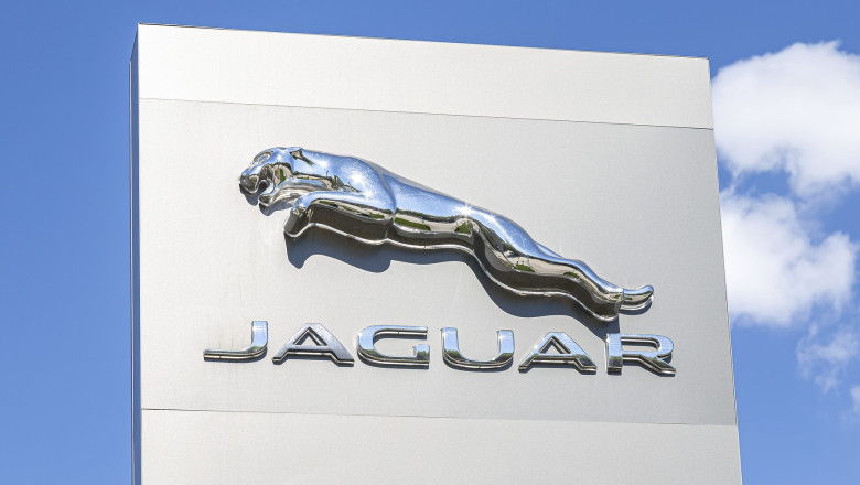 jaguar