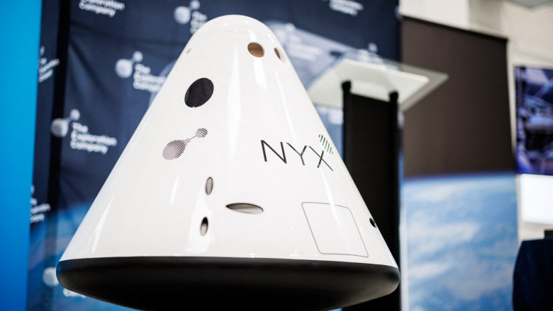 capsula nyx