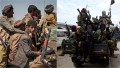 militanți Houthi, Yemen / luptători al-Shabaab, Somalia