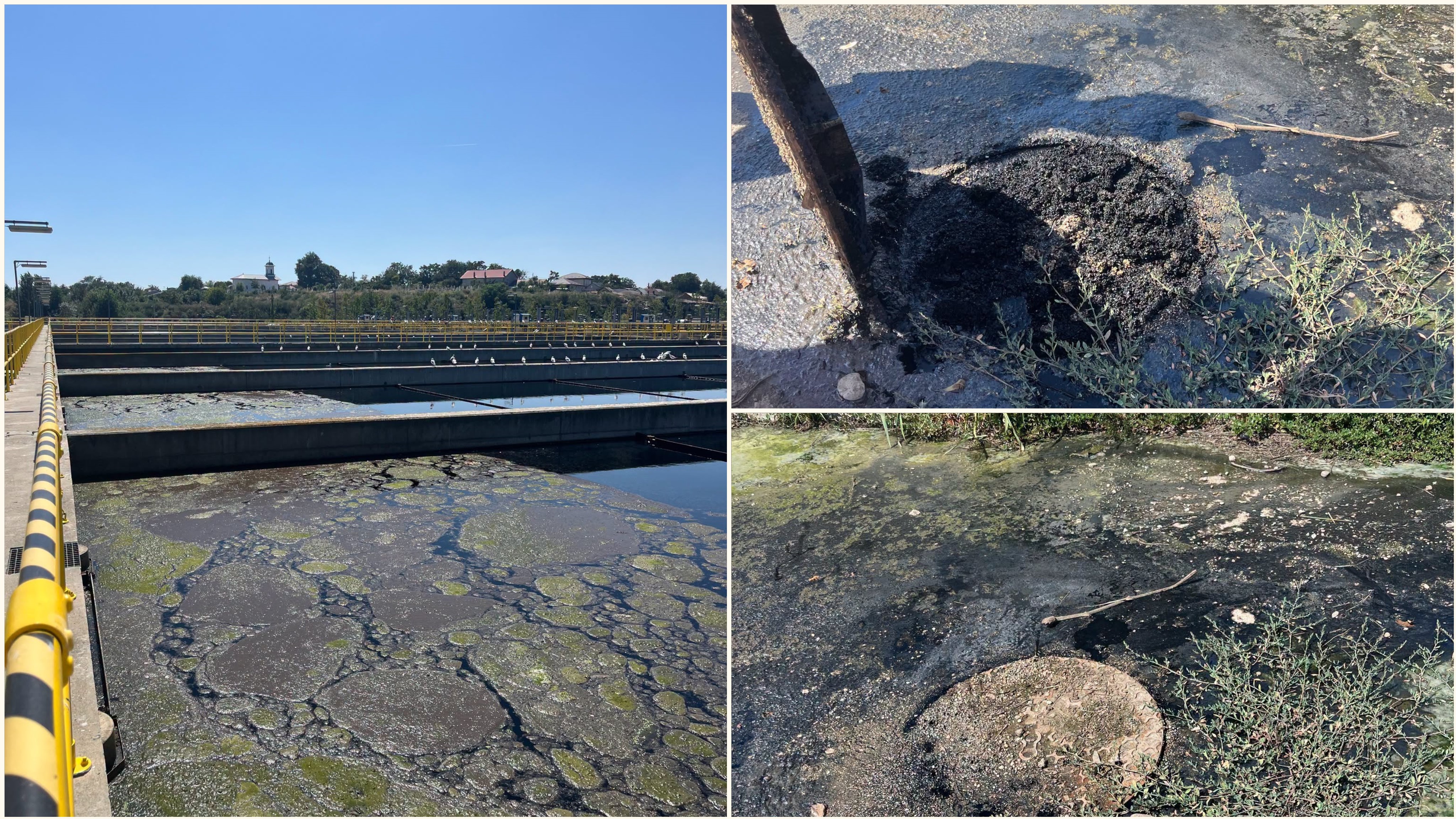 De unde ar fi venit mirosul insuportabil resimțit în București în luna august. Garda de Mediu indică două surse și anunță amenzi uriașe