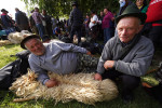 Romanian Shepherds and Farmers Rally Over EU Export Ban, Bucharest, Romania - 15 Sep 2026