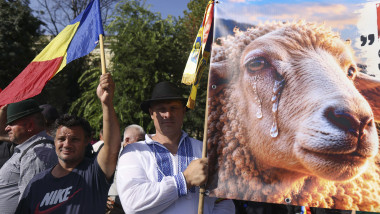 protest oieri