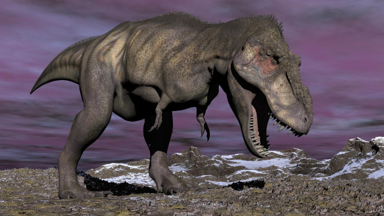 Tyrannosaurus rex