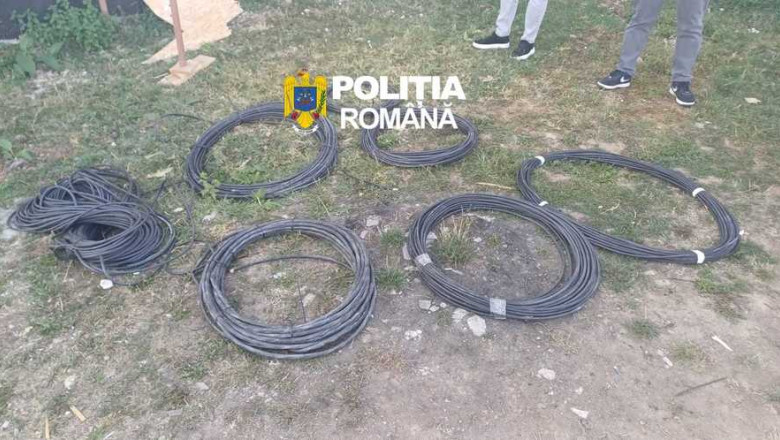 furt cupru mintia