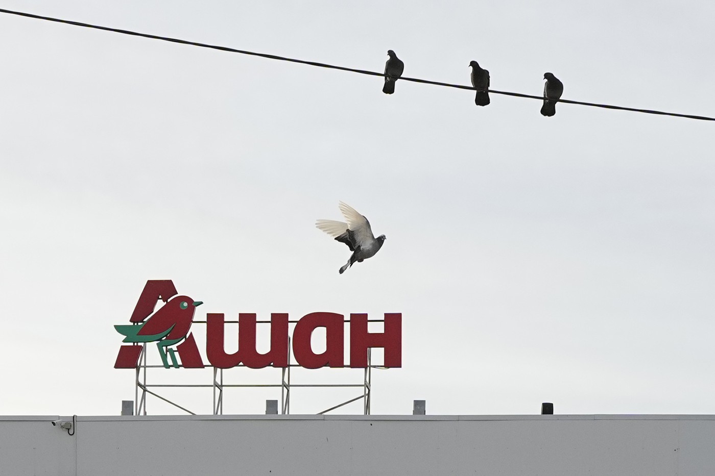 Putin confiscă activele Nestlé și Auchan din Rusia