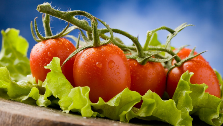 Tomatoes on lettuce