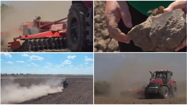 seceta in agricultura