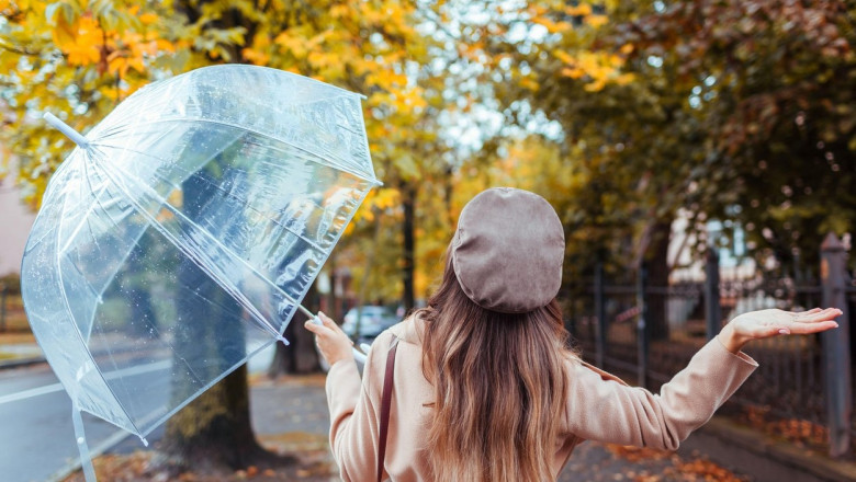 o fata cu umbrela si peisaj de toamna