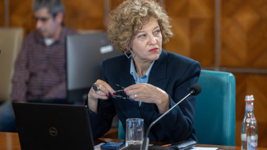 oana gheorghiu in sedinta de guvern