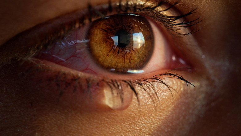 Extreme closeup on bright brown eye shedding a tear. Beautiful female face