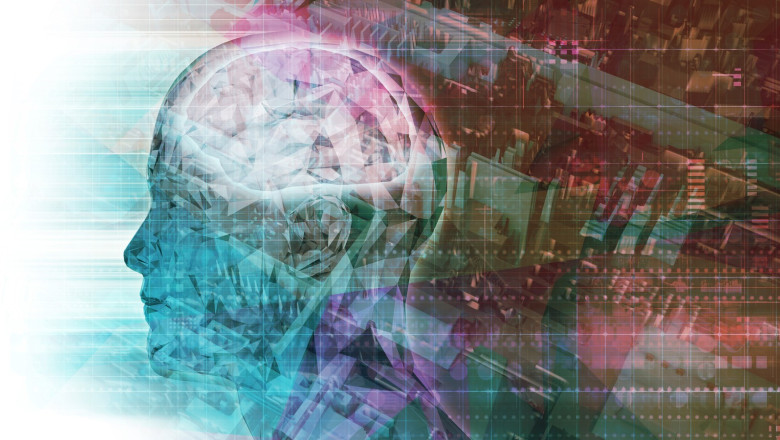 creier + memorie + proces cognitiv