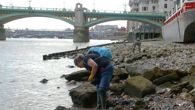 mudlark