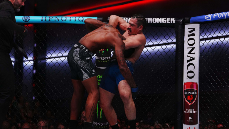Luptă UFC