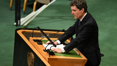 nicusor dan onu