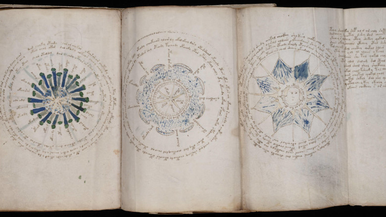 62 Voynich Manuscript (126)
