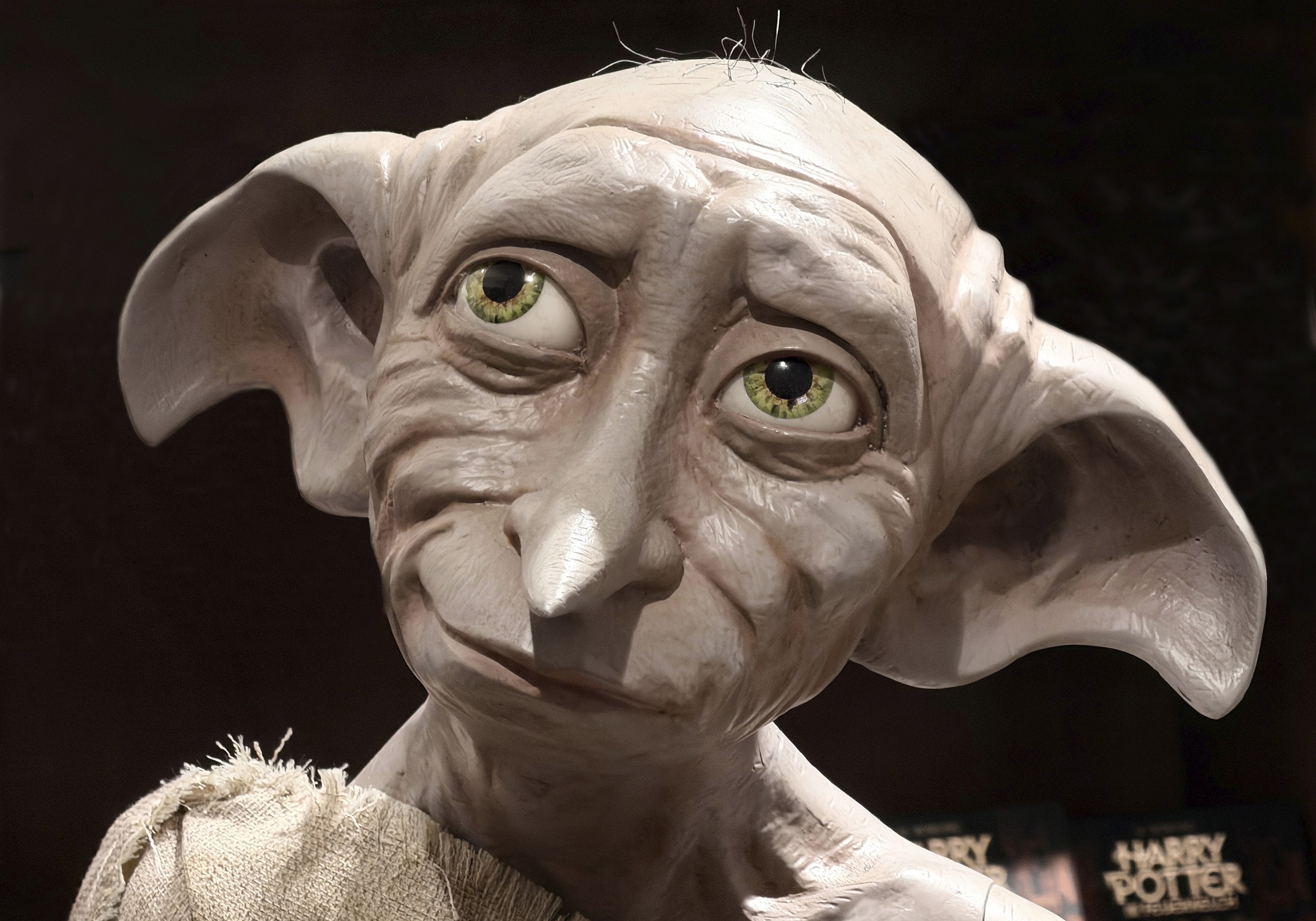 Putin e Dobby. O rusoaică a vrut să cheme poliția pentru că celebrul personaj expus într-o vitrină seamănă prea mult cu dictatorul