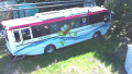 autobuz plutitor amfibiu captura digi24