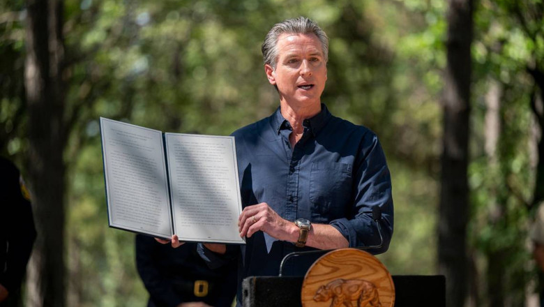 gavin newsom