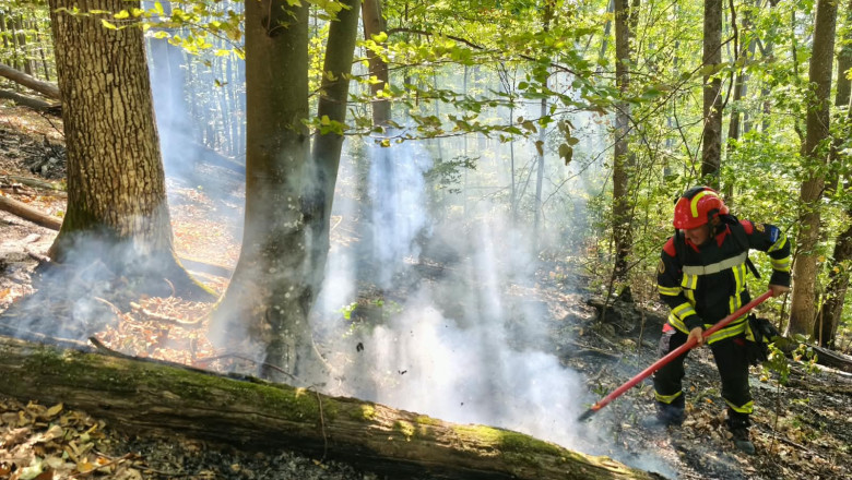 incendii de vegetatie